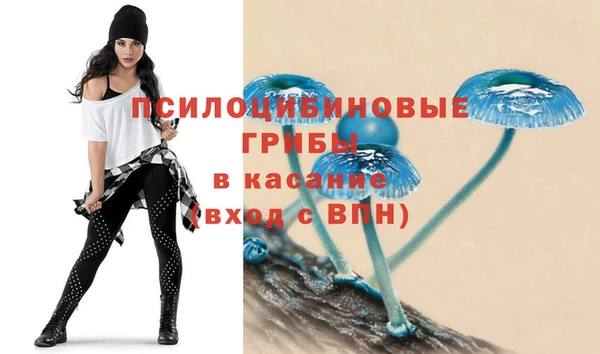 прущие грибы Волосово