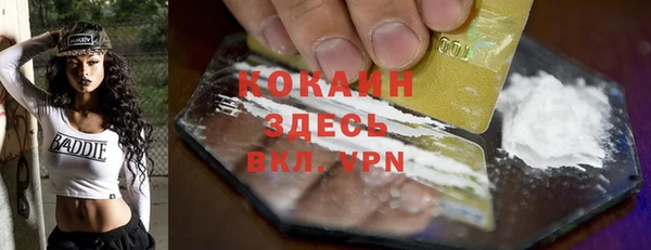 прущие грибы Волосово