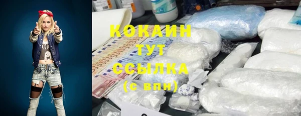 прущие грибы Волосово