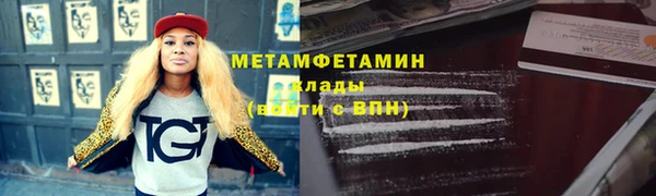 прущие грибы Волосово