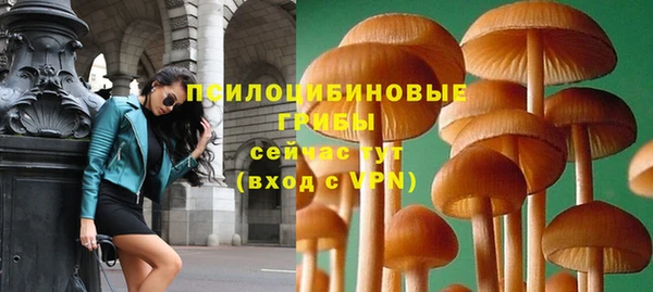 mdpv Волоколамск