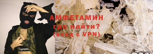 прущие грибы Волосово