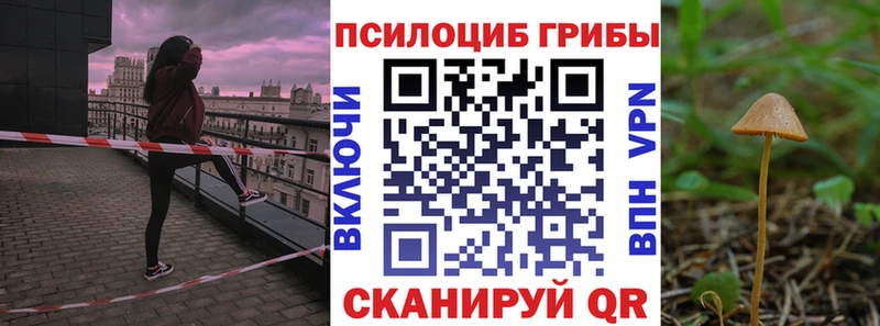 Галлюциногенные грибы Cubensis  Купить закладки  Ряжск 